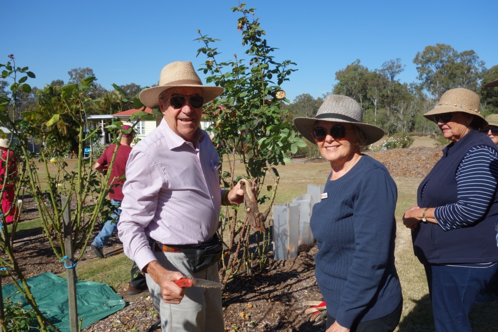 Queensland Rose Society Photos Rose Activities